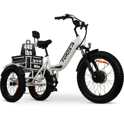 Electric Bike vs. Electric Trike: Which is Better?