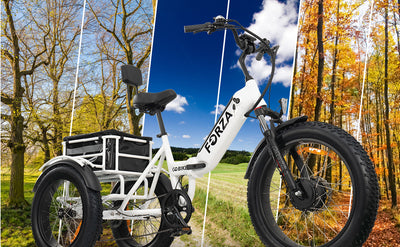 FORZA Electric Tricycle Bicycle White Frame