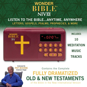 Compact handheld NIV Audio Bible player with built-in speaker and clear display.