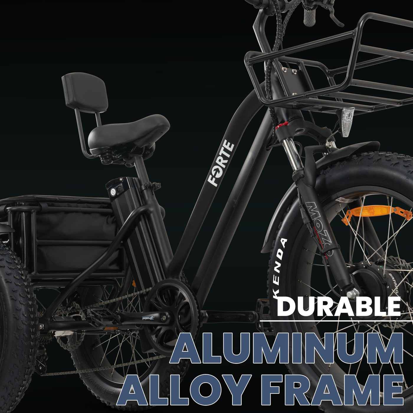 Malisae Xxx - Malisa Mobility | FORTE Electric Tricycle Bicycle | Black Electric Bicycle  â€“ Malisa Mobility - Connecting Life