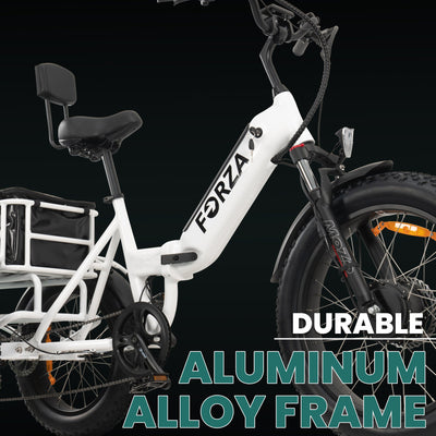 	
FORZA Electric Tricycle Bicycle White Frame